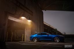 GT350 lit