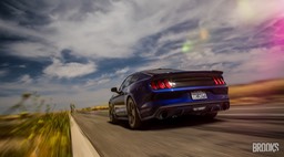 Mustang on road